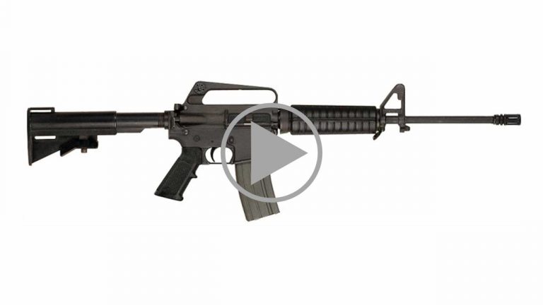 Updating an old Bushmaster AR-15 A1 Carbine  #1  #521